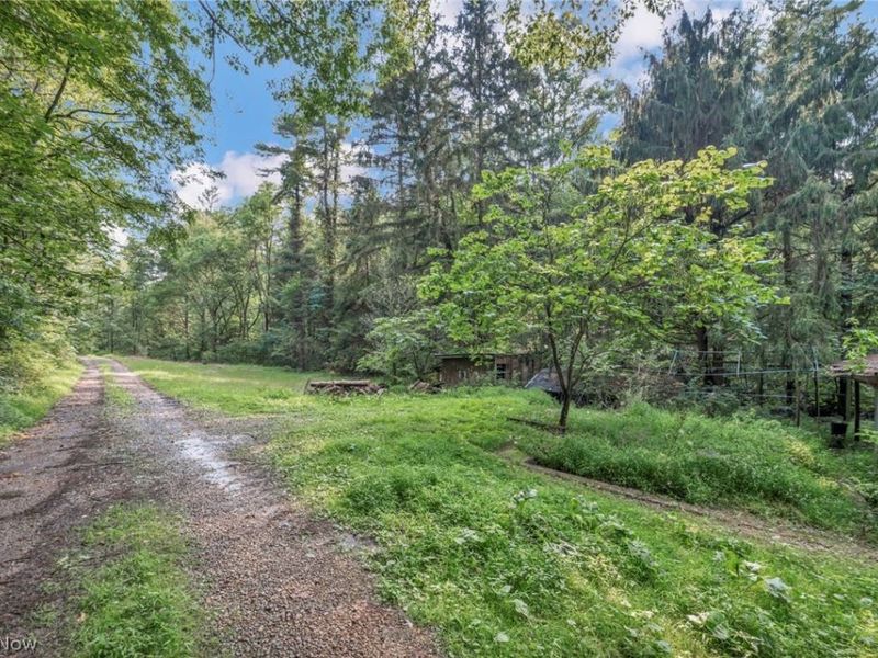 35401 Moore Road, Logan, OH 43138 Photo 12