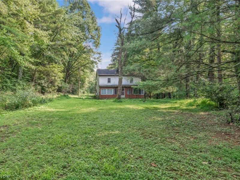 35401 Moore Road, Logan, OH 43138 Photo 7