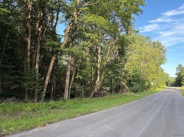 0 Harvey Bridge Road, Cold Brook, NY 13324