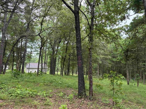 144 Wildwood Ln , Atkins, AR 72823