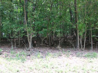 Lot 122 Palisades Drive, Unit 53F-122, Eddyville, KY 42038