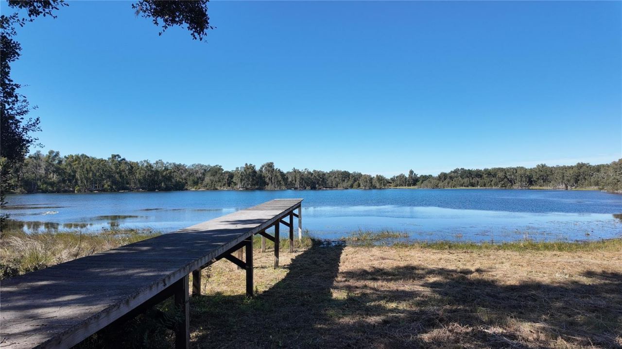 0000 Gunn Highway, Odessa, FL 33556 Photo