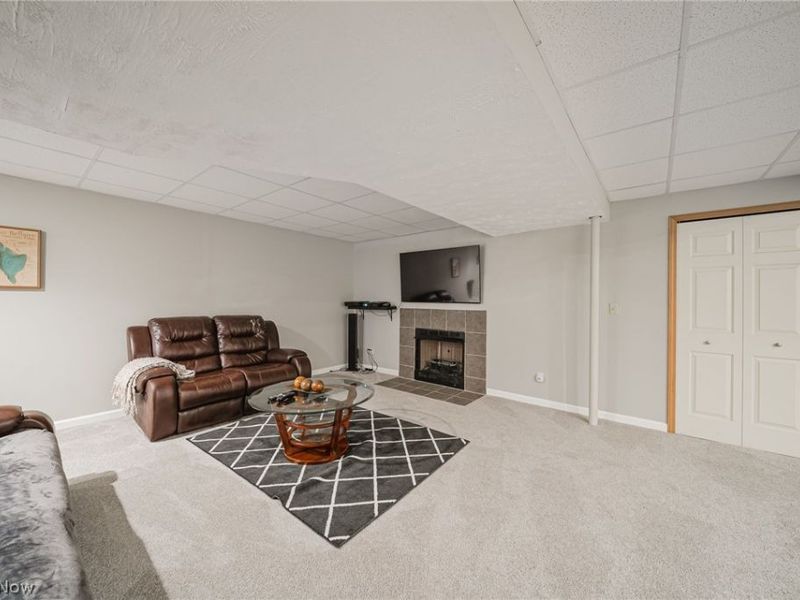 5862 Trystin Tree, Medina, OH 44256 Photo 40