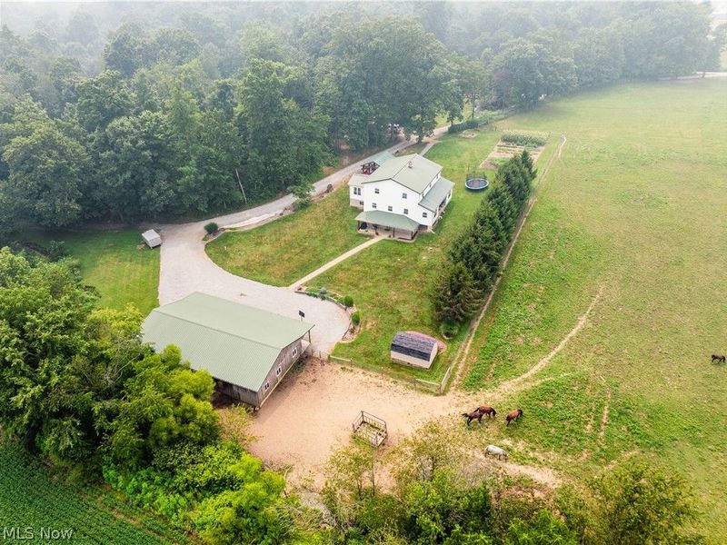 7803 Harrison Road, Fredericksburg, OH 44627 Photo 3