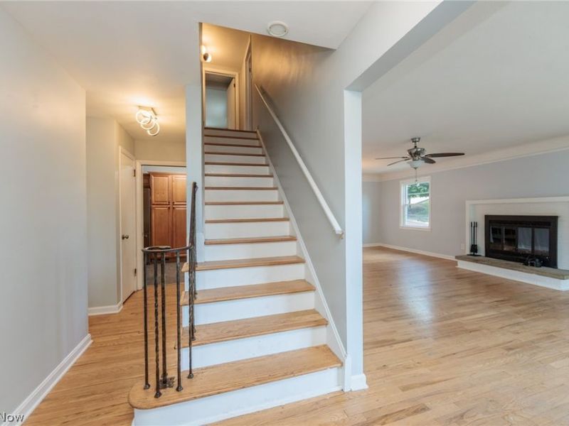 3516 Meadowbrook Boulevard, Cleveland Heights, OH 44118 Photo 4