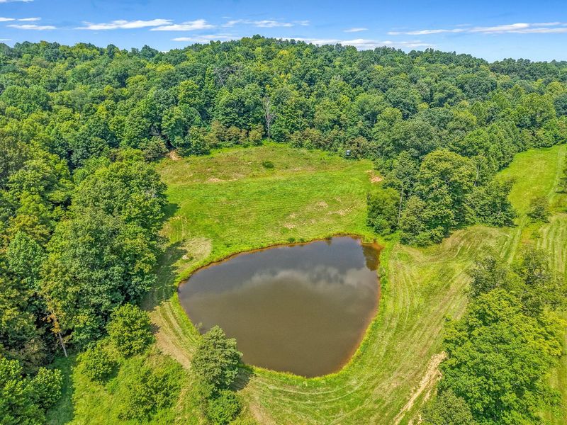 34130 Burney Hollow Road , Rutland, OH 45775 Photo 54
