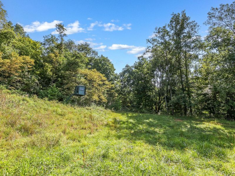 34130 Burney Hollow Road , Rutland, OH 45775 Photo 88