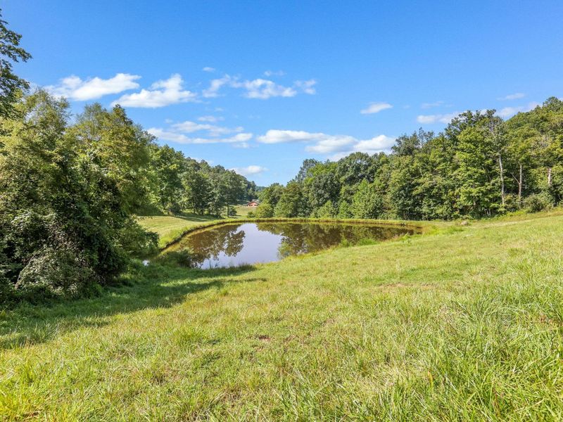 34130 Burney Hollow Road , Rutland, OH 45775 Photo 89