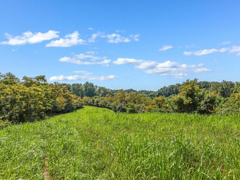 34130 Burney Hollow Road , Rutland, OH 45775 Photo 90