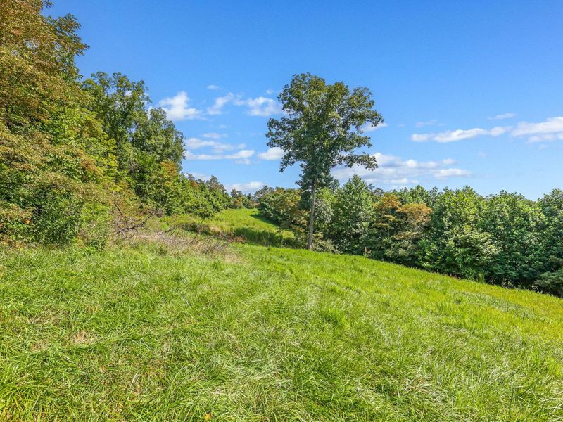 34130 Burney Hollow Road , Rutland, OH 45775 Photo 91