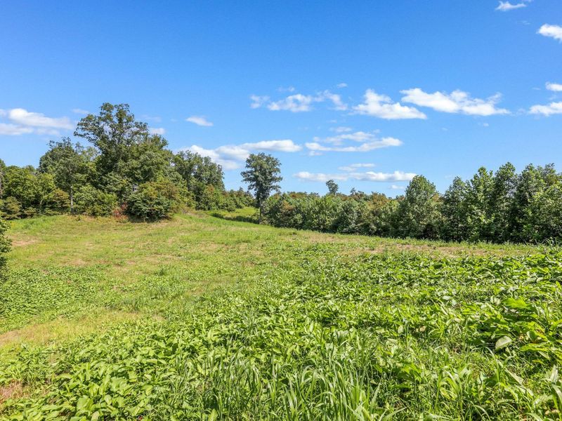 34130 Burney Hollow Road , Rutland, OH 45775 Photo 92