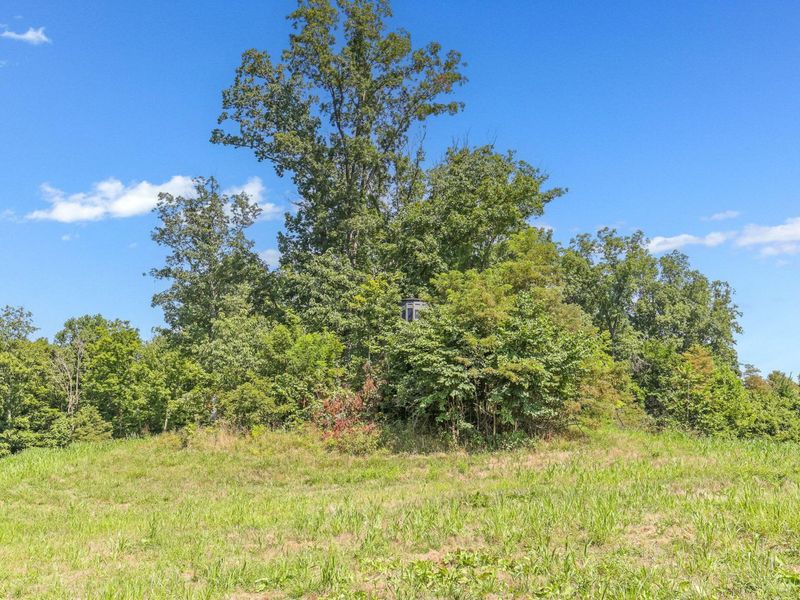 34130 Burney Hollow Road , Rutland, OH 45775 Photo 93