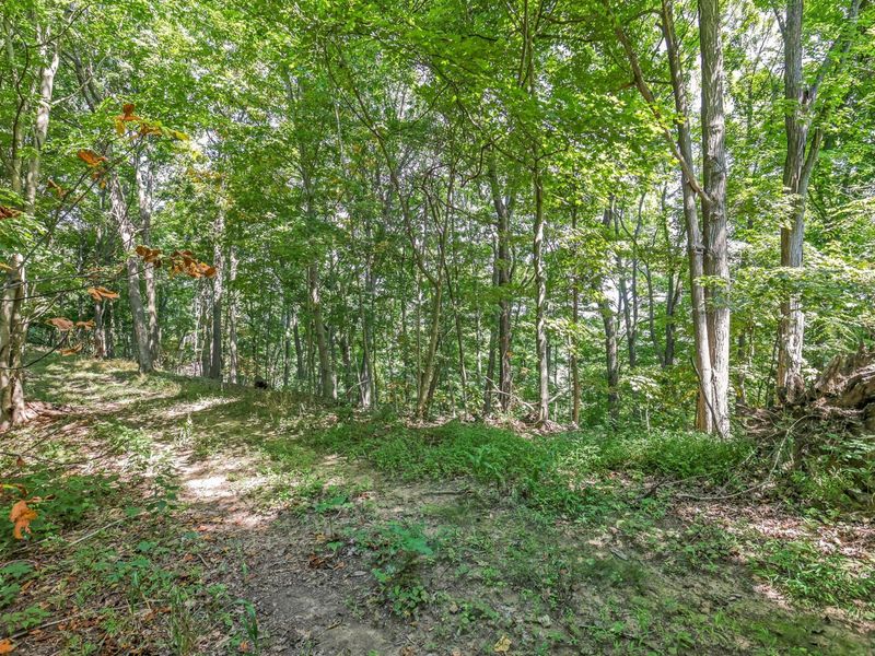 34130 Burney Hollow Road , Rutland, OH 45775 Photo 94