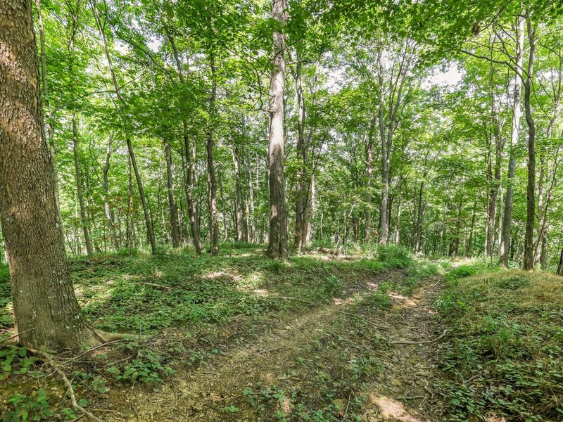 34130 Burney Hollow Road , Rutland, OH 45775 Photo 95