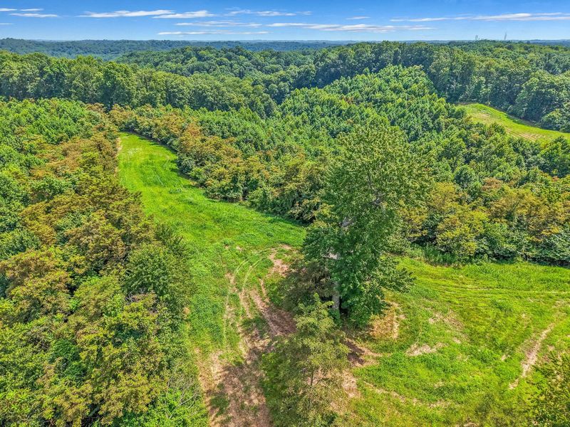34130 Burney Hollow Road , Rutland, OH 45775 Photo 96