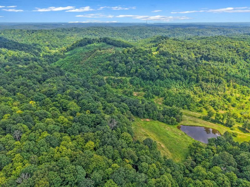 34130 Burney Hollow Road , Rutland, OH 45775 Photo 97