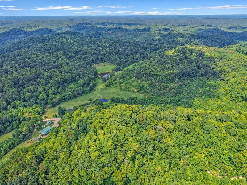 34130 Burney Hollow Road, Rutland, OH 45775 Photo 99