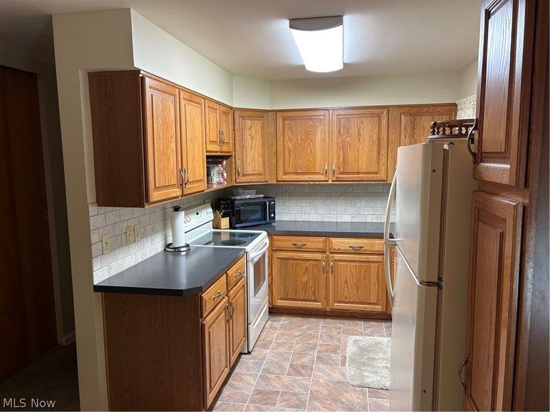 475 Dansel Street, Kent, OH 44240 Photo 19