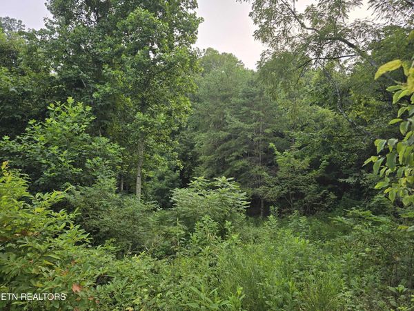 Volunteer Rd, Rutledge, TN 37861