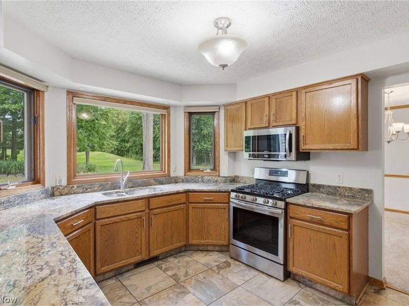 2817 Alling Drive, Twinsburg, OH 44087 Photo 10