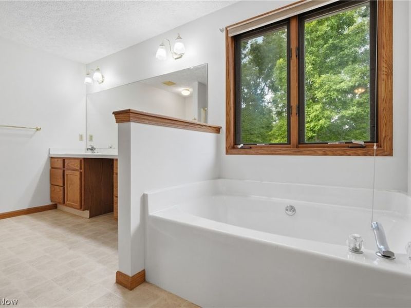 2817 Alling Drive, Twinsburg, OH 44087 Photo 29