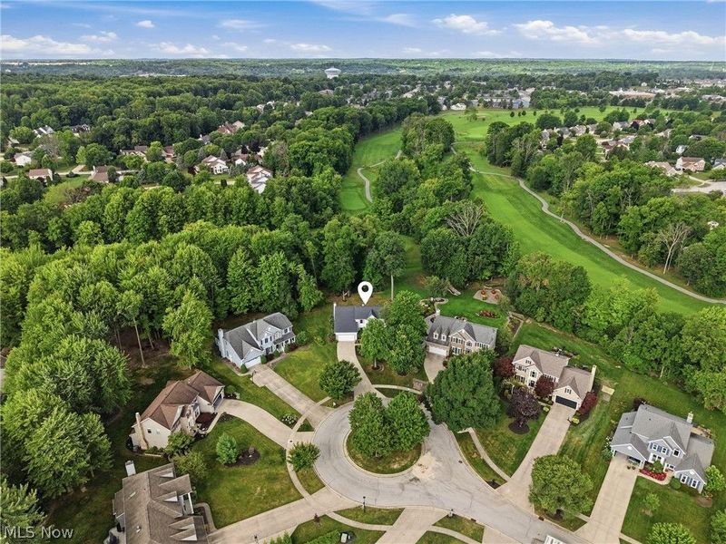 2817 Alling Drive, Twinsburg, OH 44087 Photo 49