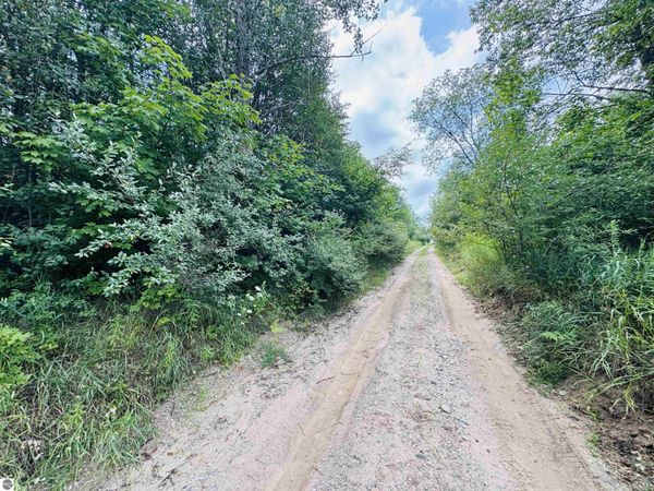 4 Bosscher Road, Manton, MI 49663