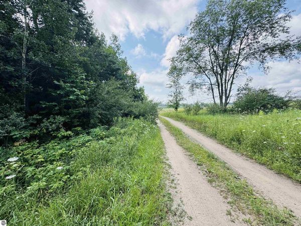 6 Bosscher Road, Manton, MI 49663