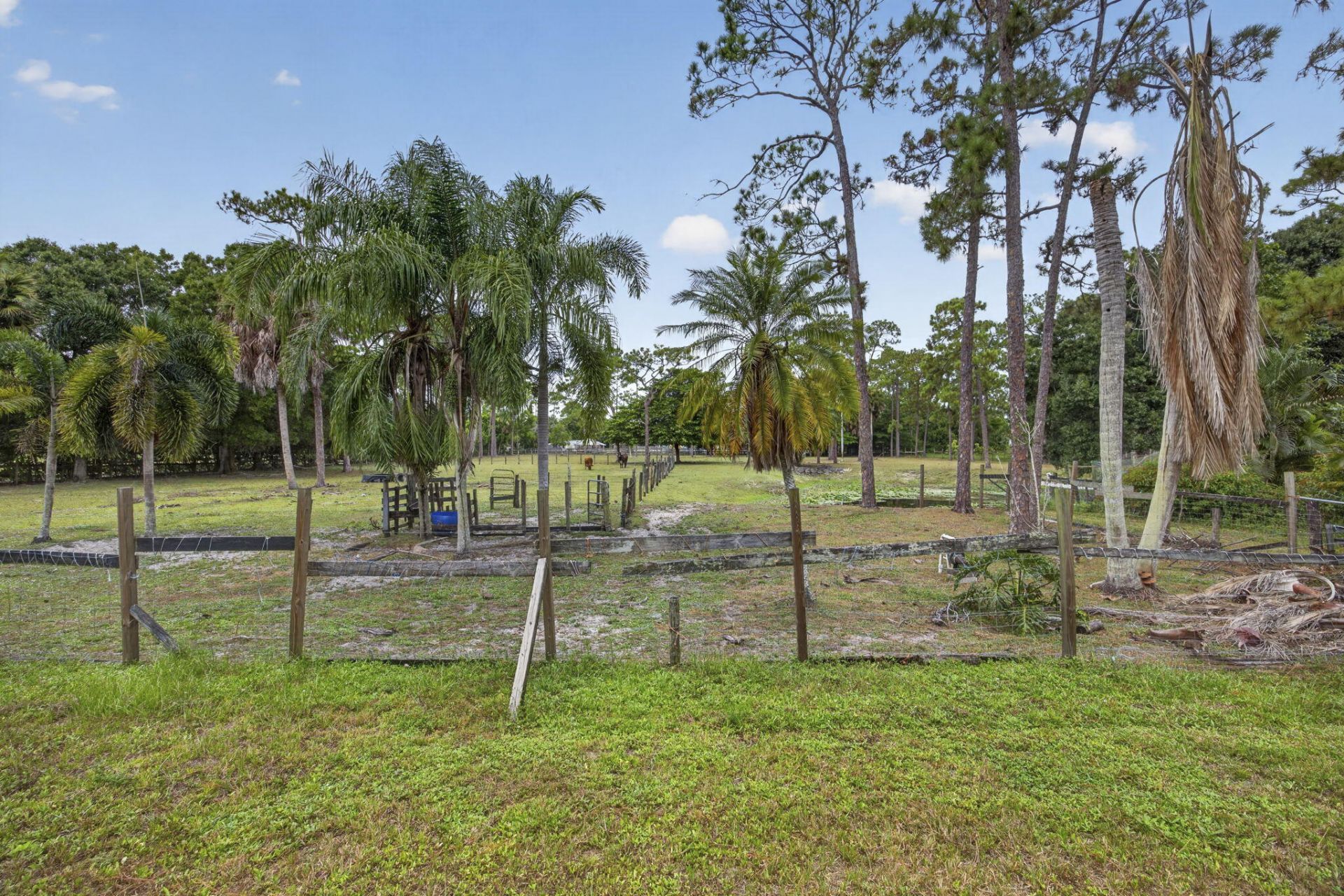 15182 Steffen Lane, Loxahatchee Groves, FL 33470 Photo