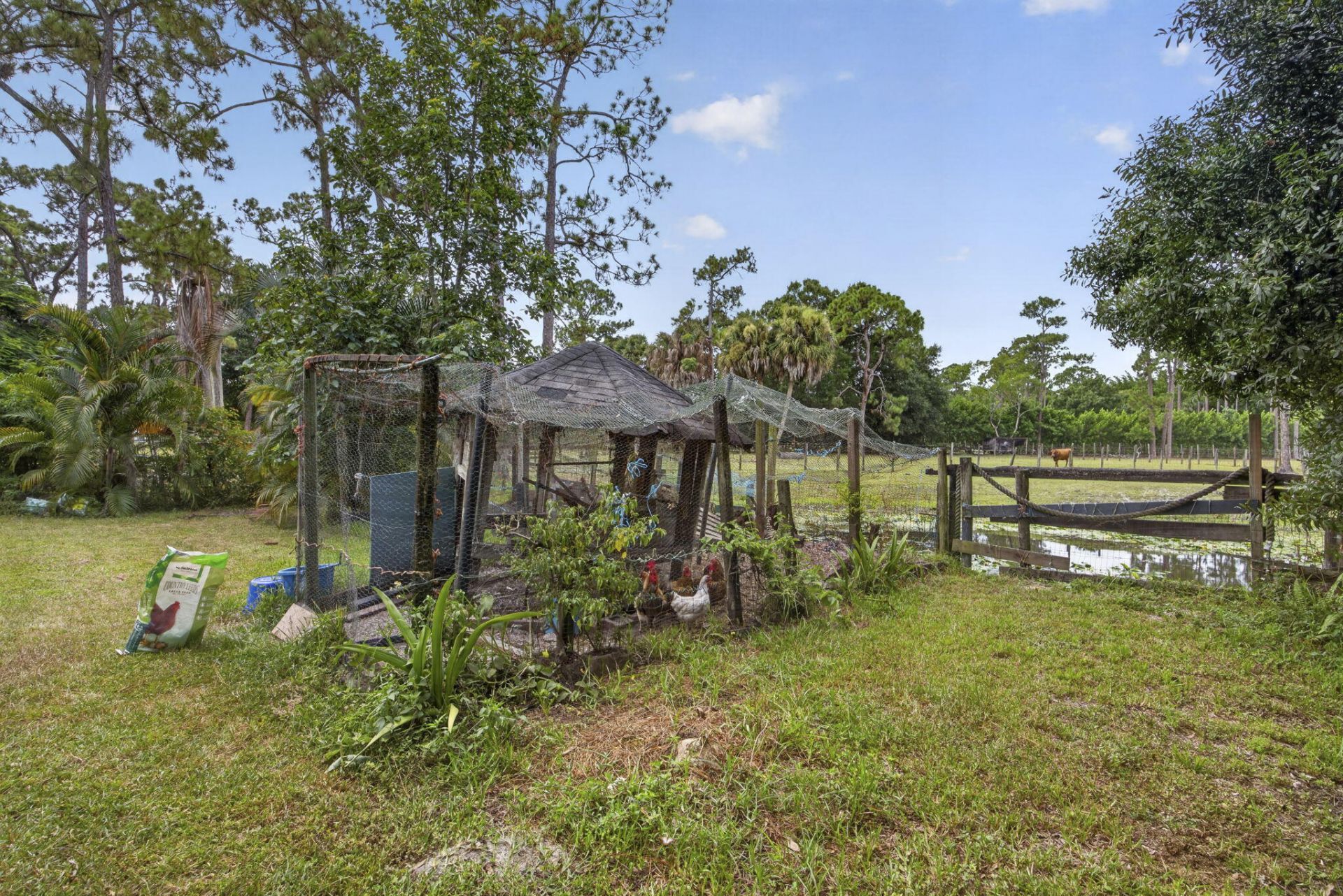 15182 Steffen Lane, Loxahatchee Groves, FL 33470 Photo