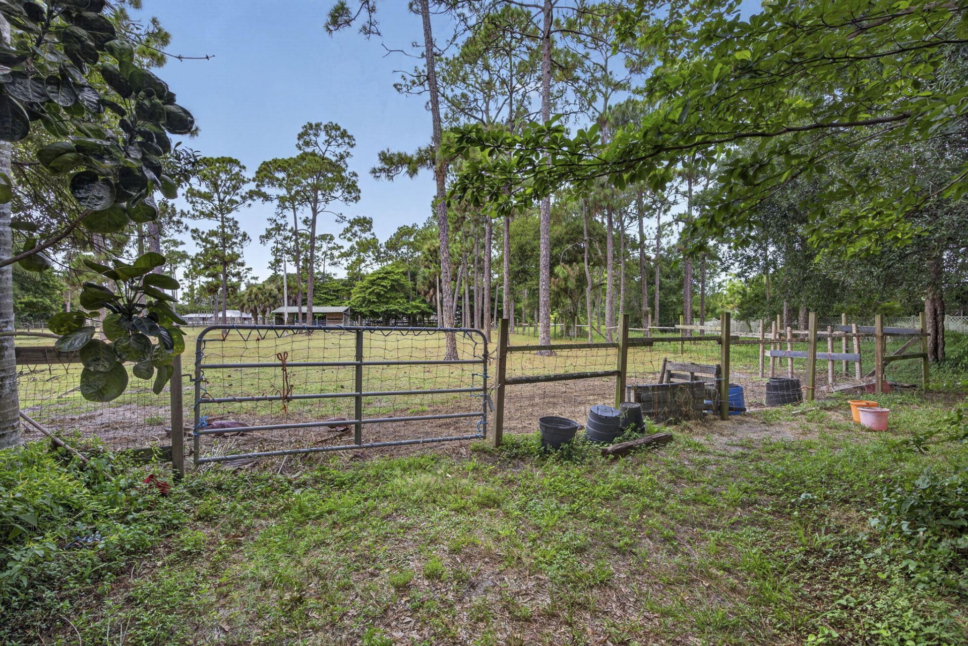 15182 Steffen Lane, Loxahatchee Groves, FL 33470 Photo