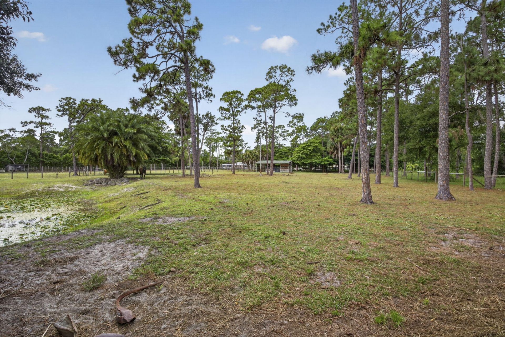 15182 Steffen Lane, Loxahatchee Groves, FL 33470 Photo