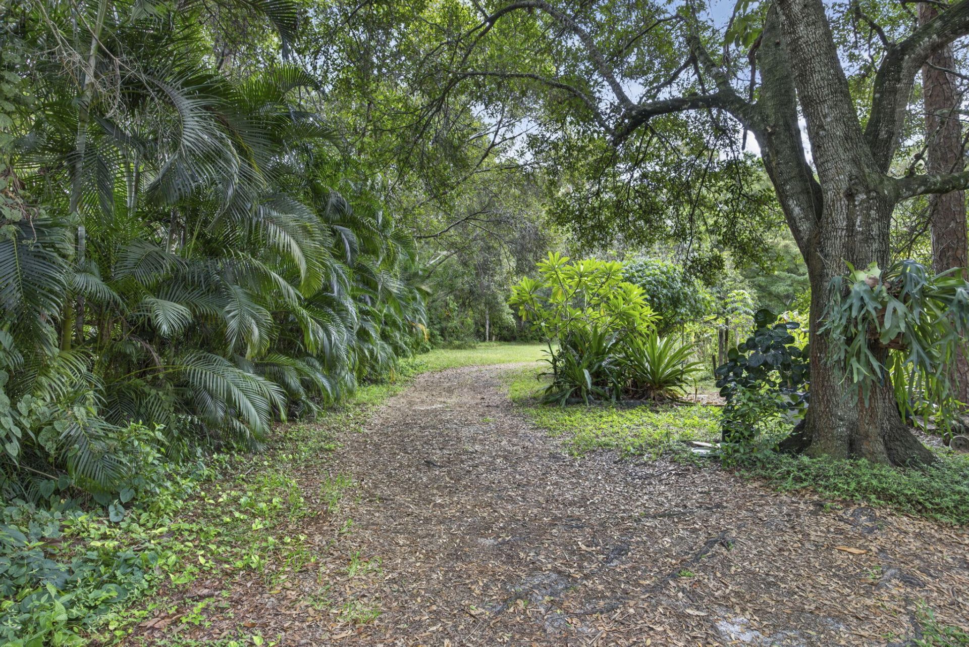 15182 Steffen Lane, Loxahatchee Groves, FL 33470 Photo
