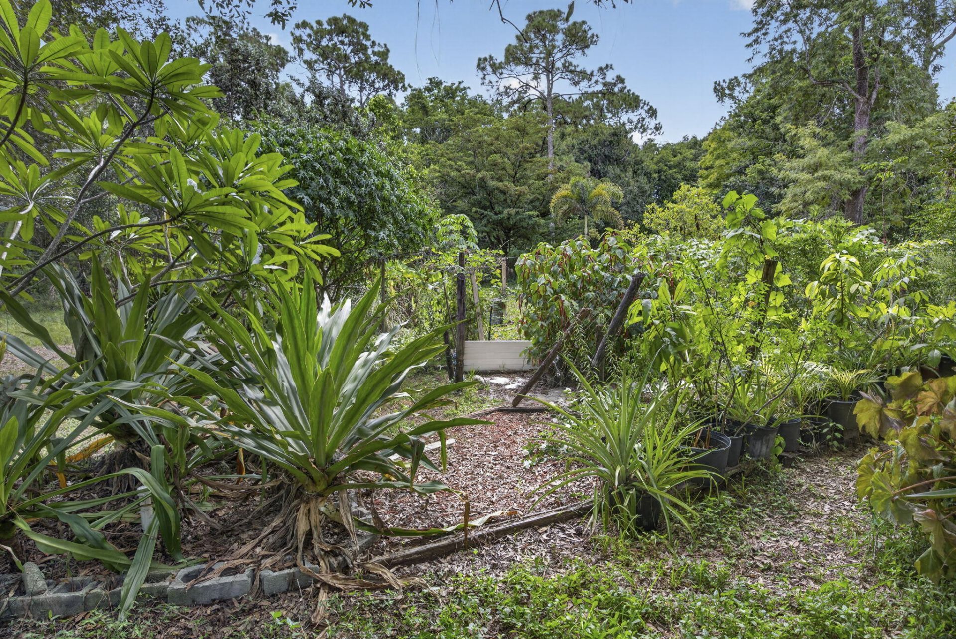 15182 Steffen Lane, Loxahatchee Groves, FL 33470 Photo