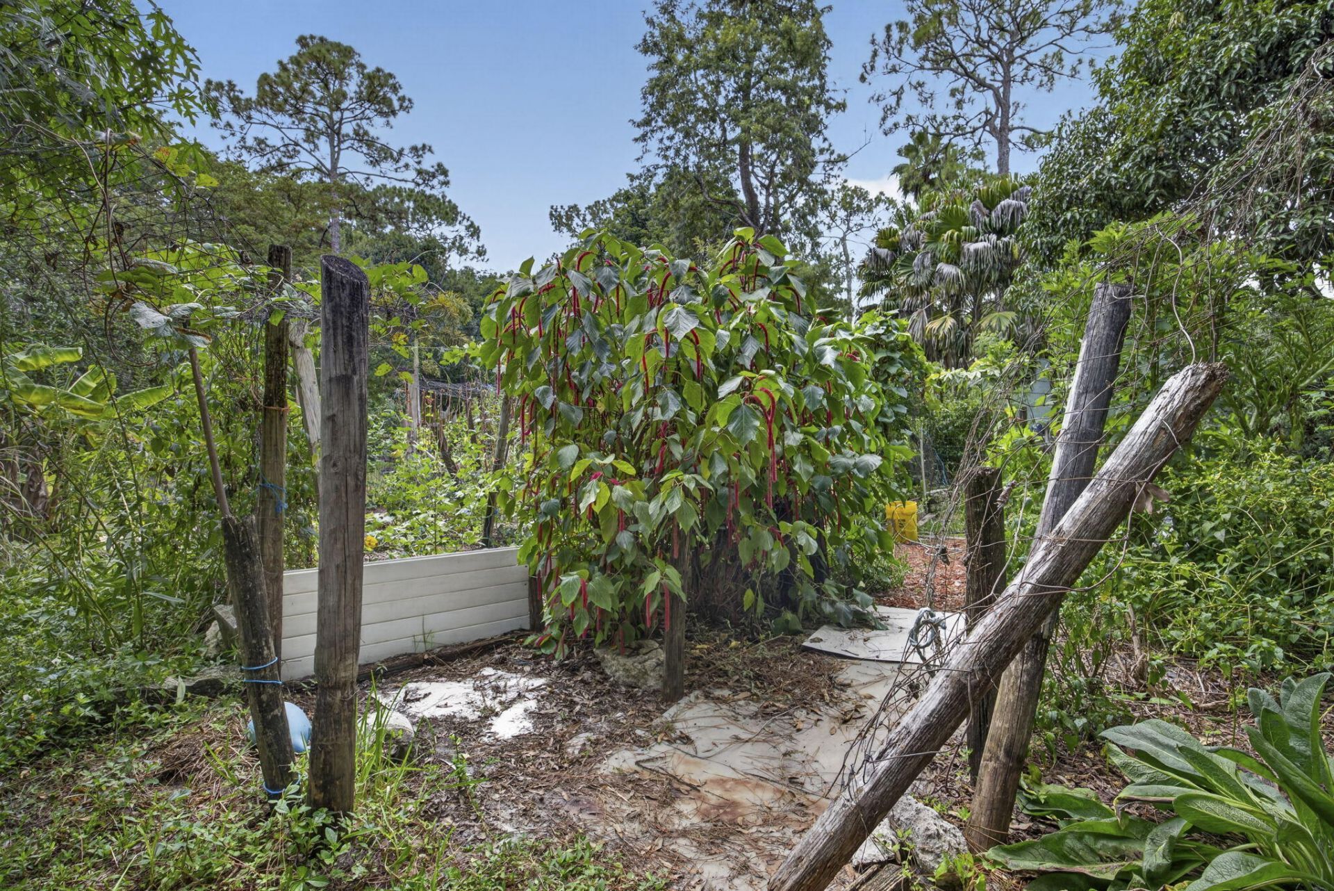 15182 Steffen Lane, Loxahatchee Groves, FL 33470 Photo