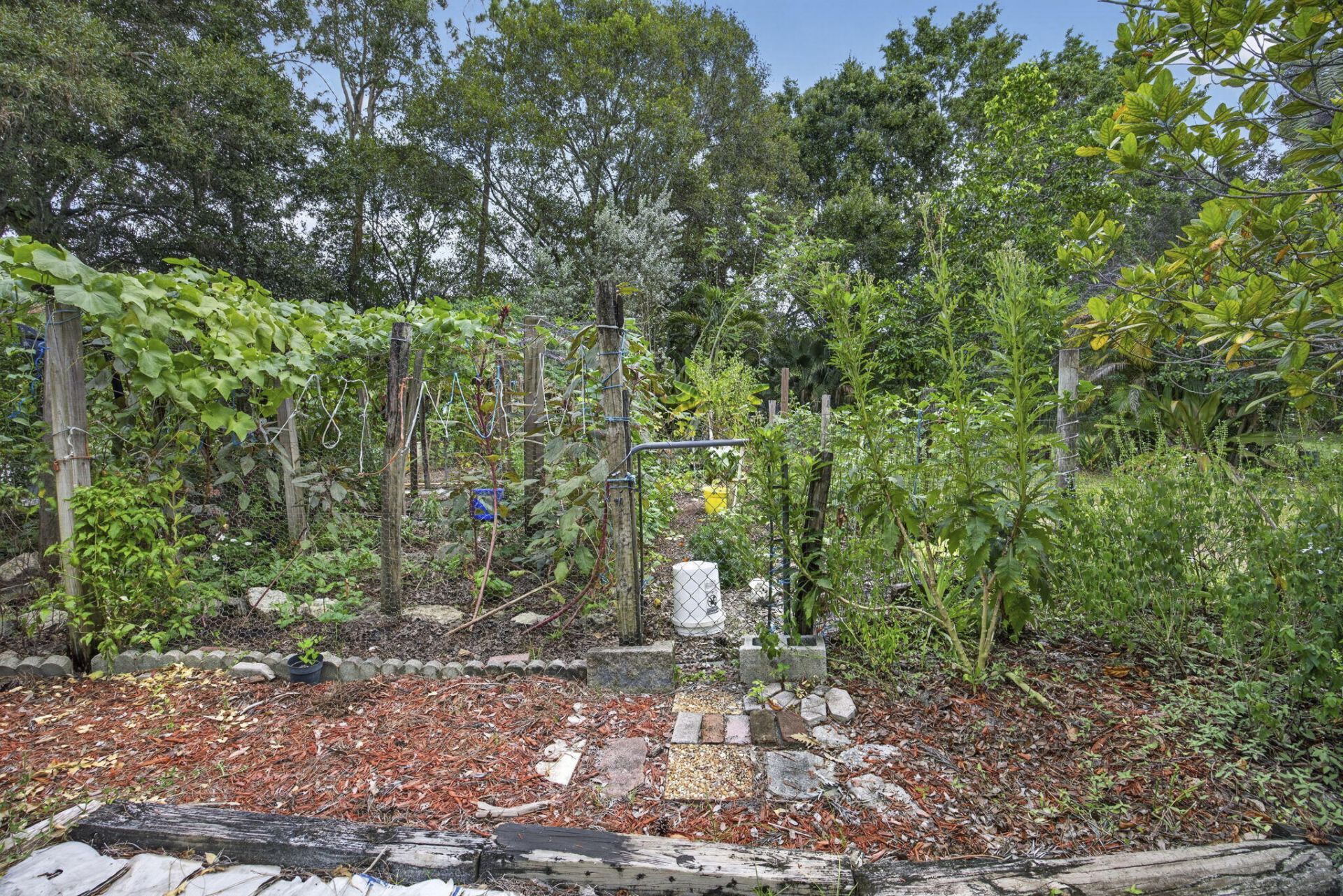 15182 Steffen Lane, Loxahatchee Groves, FL 33470 Photo