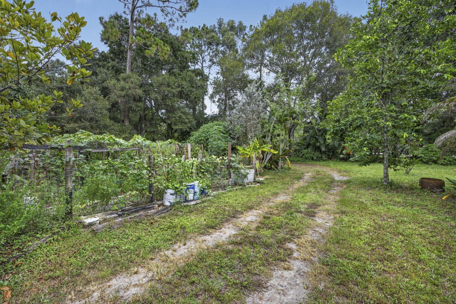 15182 Steffen Lane, Loxahatchee Groves, FL 33470 Photo