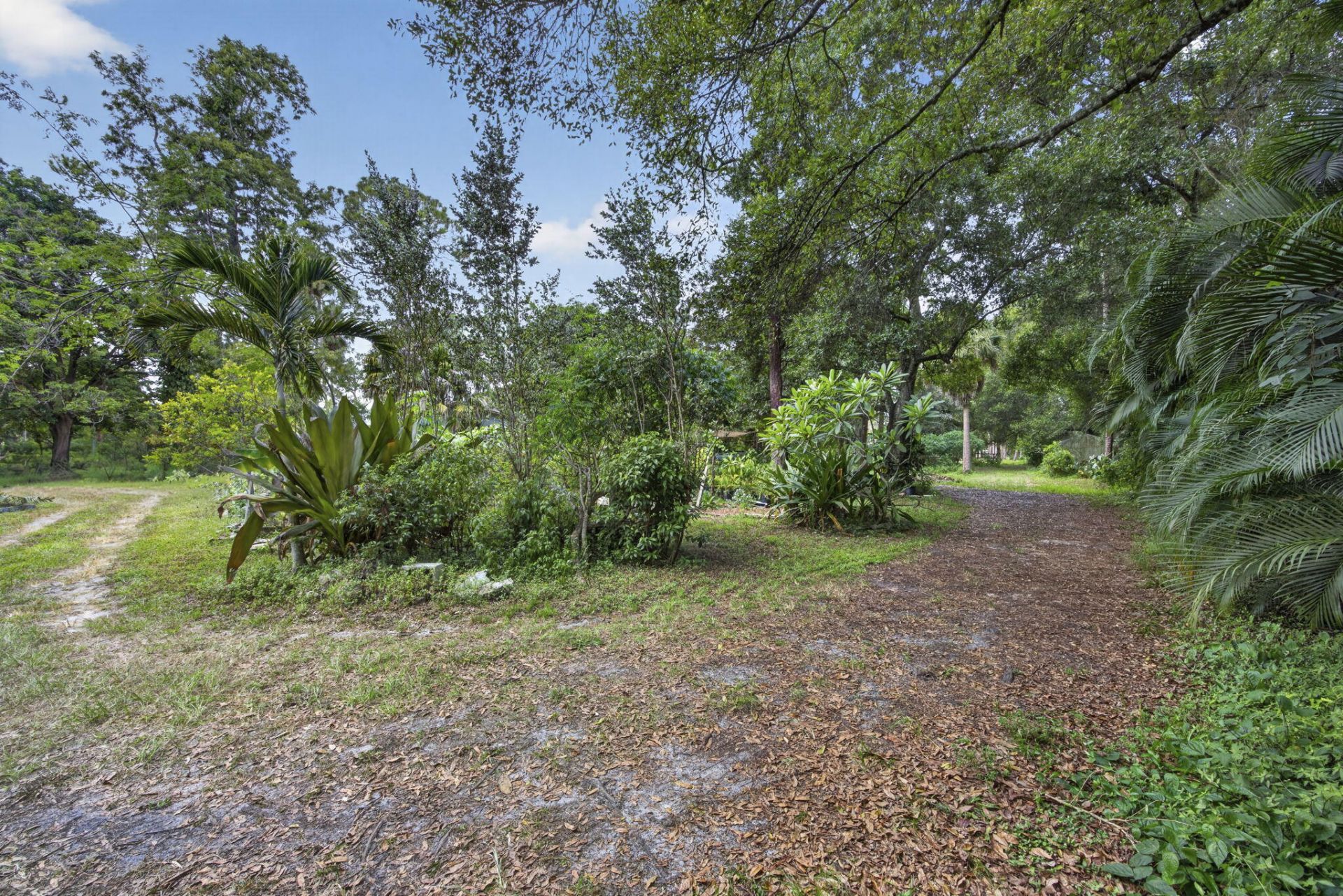 15182 Steffen Lane, Loxahatchee Groves, FL 33470 Photo