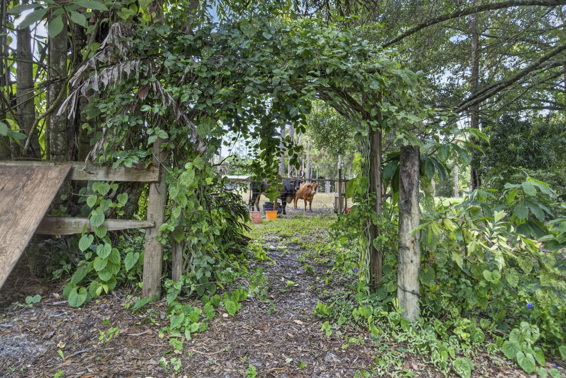 15182 Steffen Lane, Loxahatchee Groves, FL 33470 Photo
