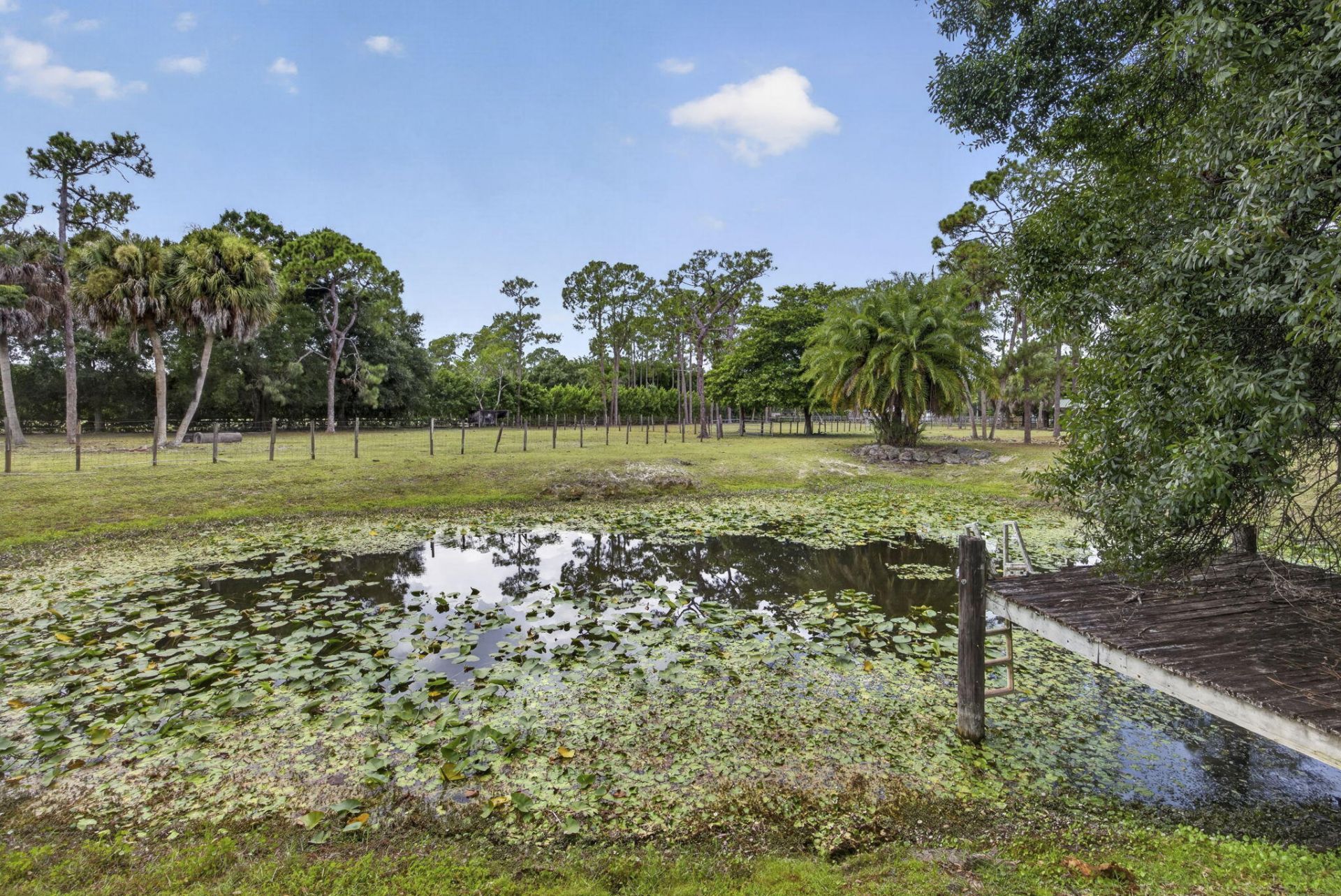 15182 Steffen Lane, Loxahatchee Groves, FL 33470 Photo
