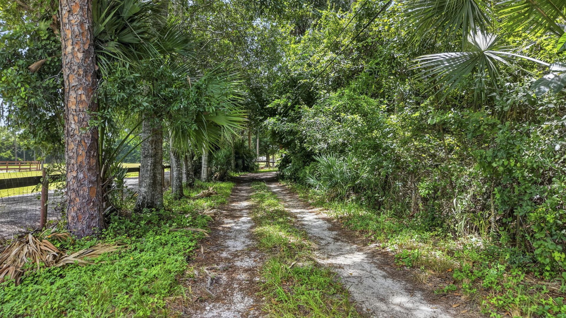 15182 Steffen Lane, Loxahatchee Groves, FL 33470 Photo