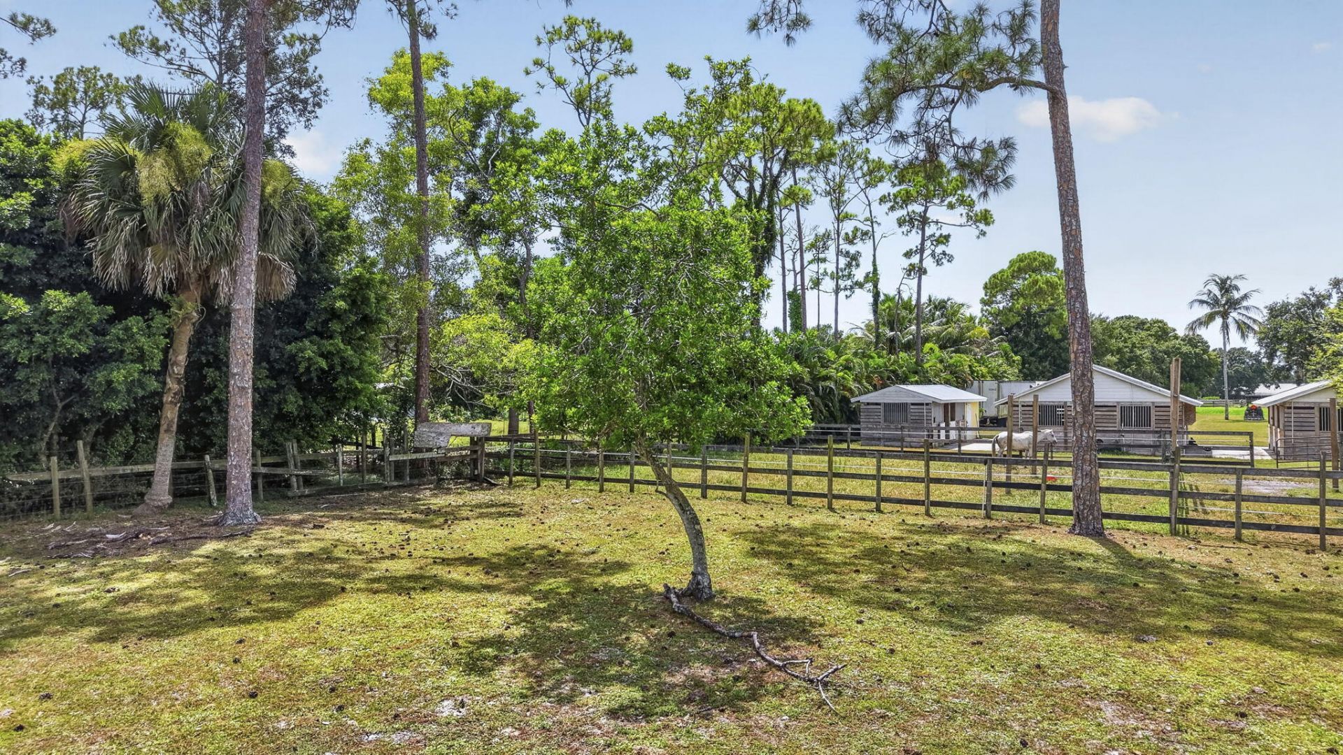 15182 Steffen Lane, Loxahatchee Groves, FL 33470 Photo