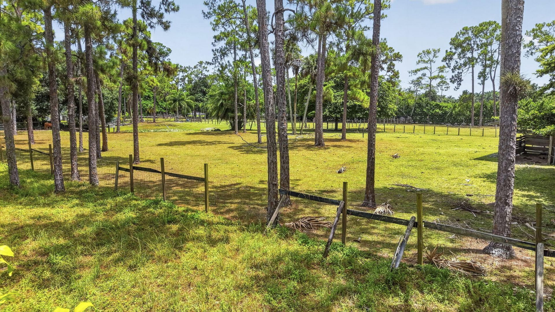 15182 Steffen Lane, Loxahatchee Groves, FL 33470 Photo