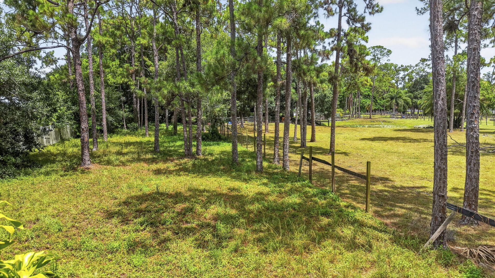 15182 Steffen Lane, Loxahatchee Groves, FL 33470 Photo