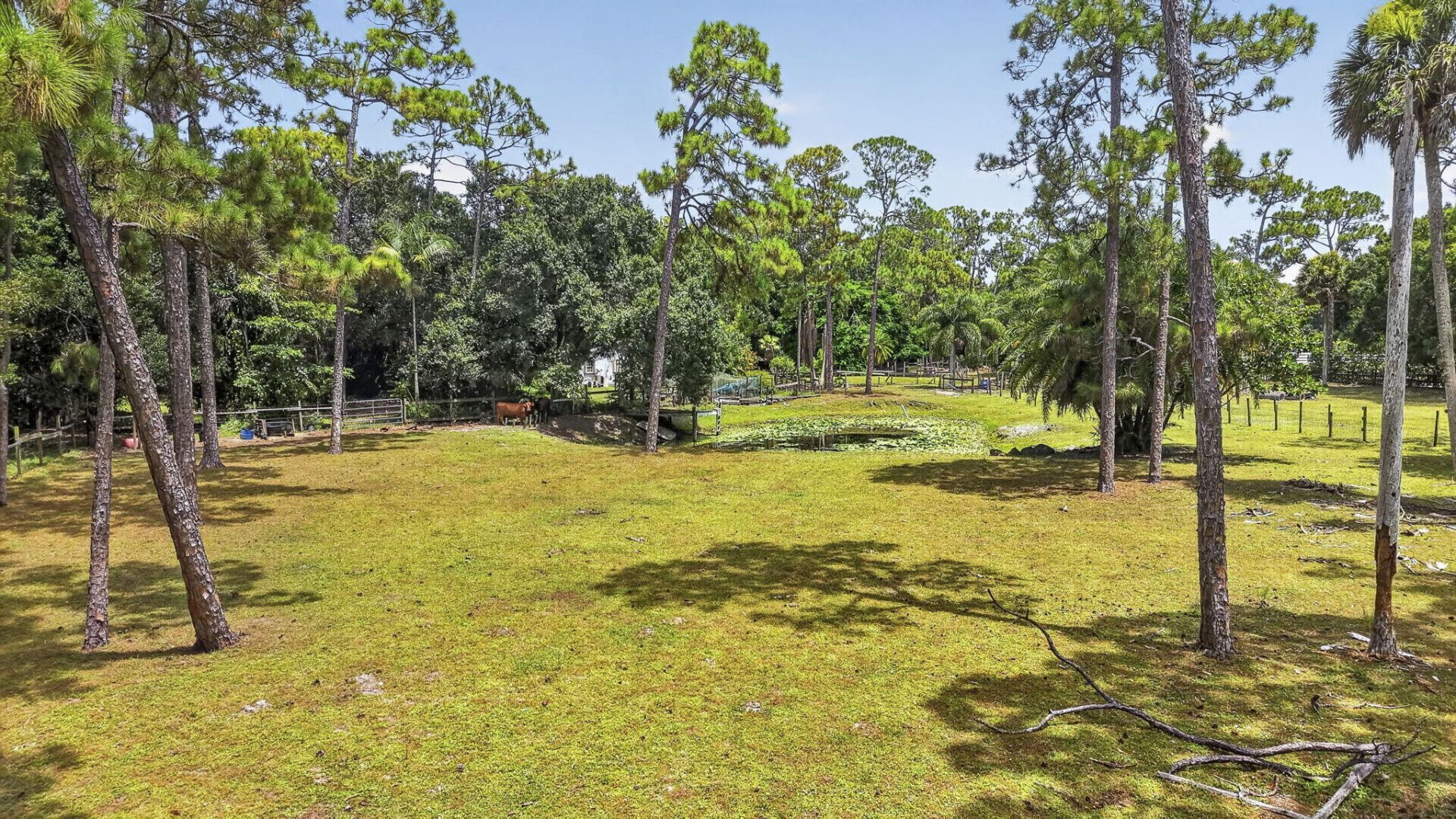 15182 Steffen Lane, Loxahatchee Groves, FL 33470 Photo