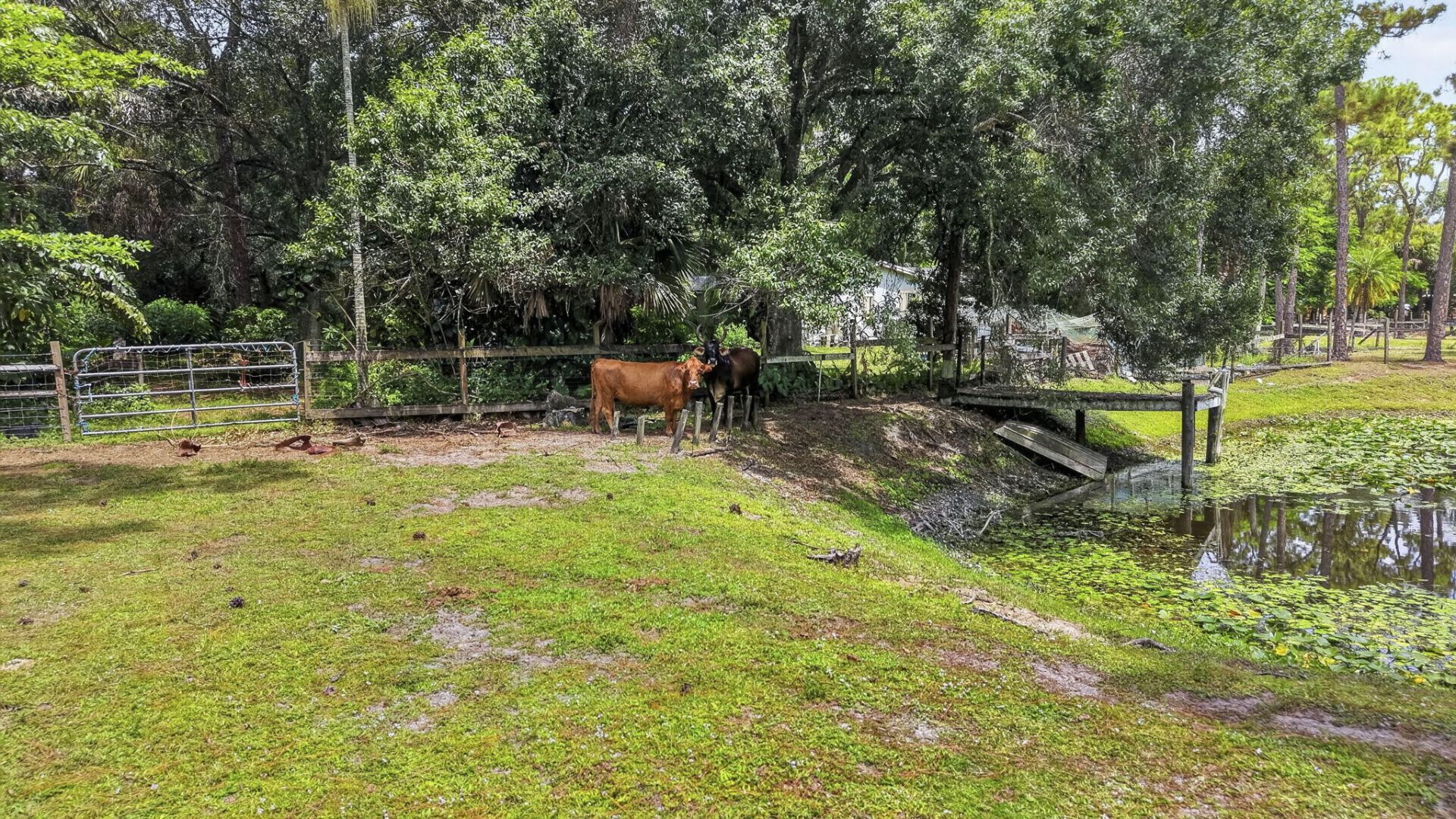 15182 Steffen Lane, Loxahatchee Groves, FL 33470 Photo