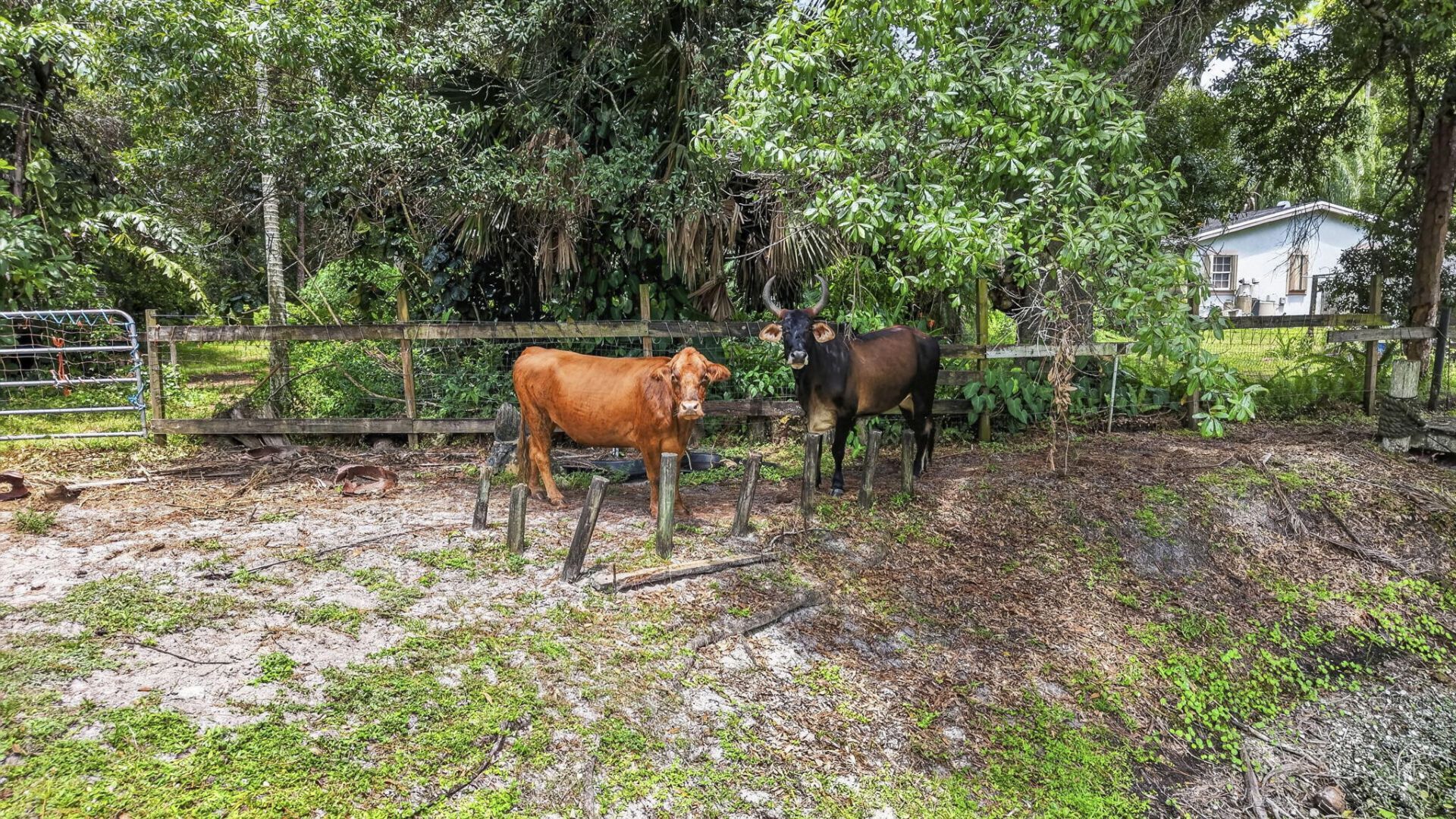 15182 Steffen Lane, Loxahatchee Groves, FL 33470 Photo