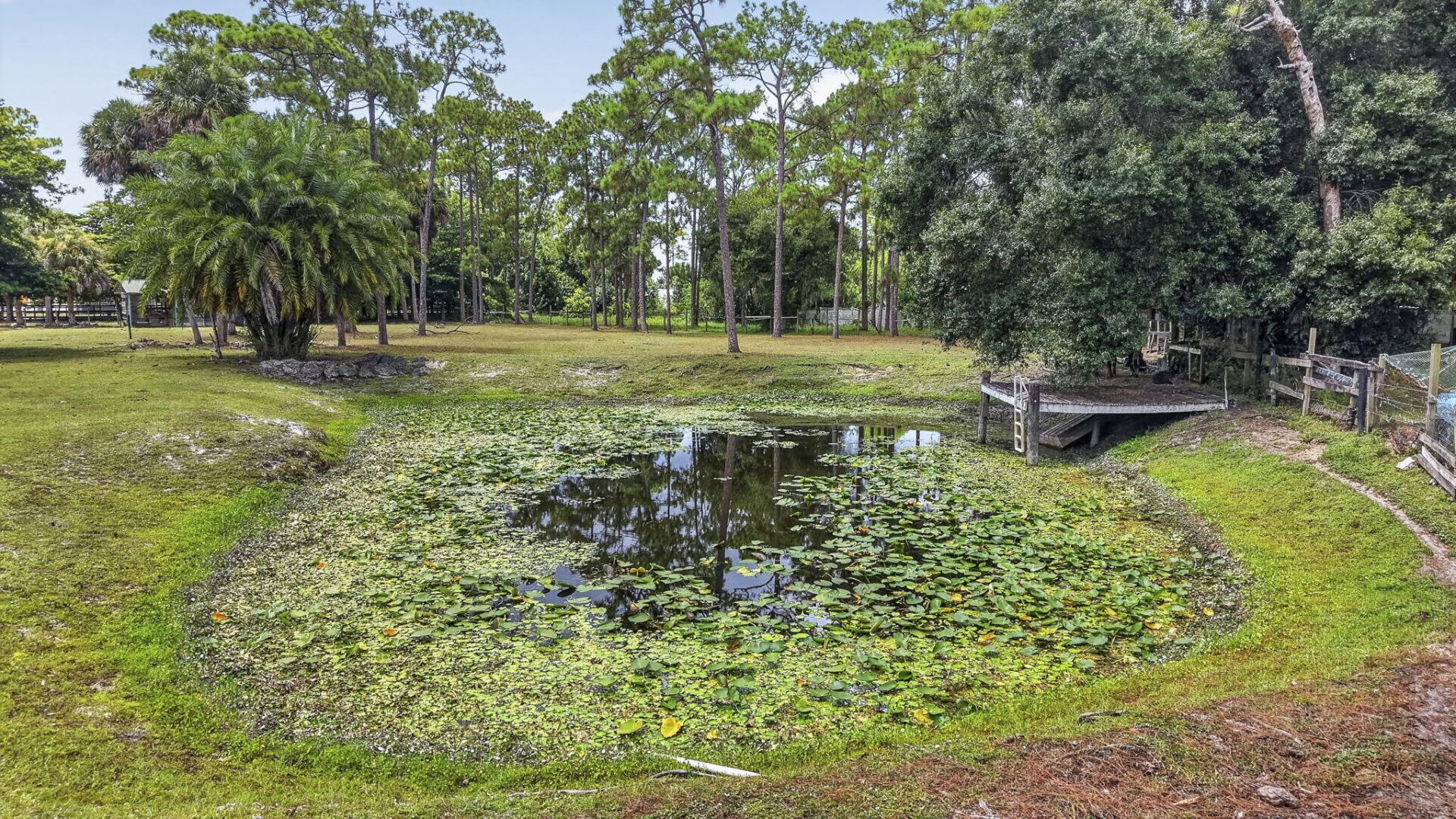 15182 Steffen Lane, Loxahatchee Groves, FL 33470 Photo