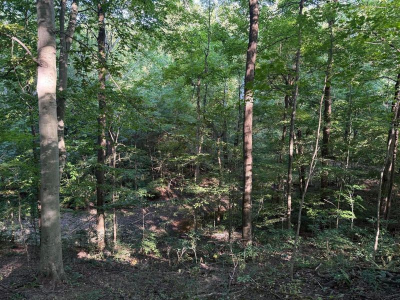 355 Green Hollow Drive SW, Pataskala, OH 43062 Photo 10