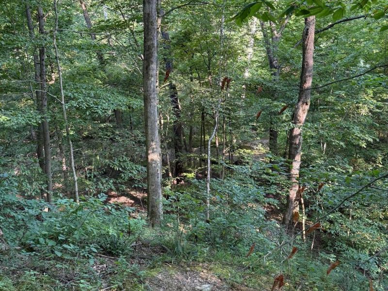 355 Green Hollow Drive SW, Pataskala, OH 43062 Photo 15
